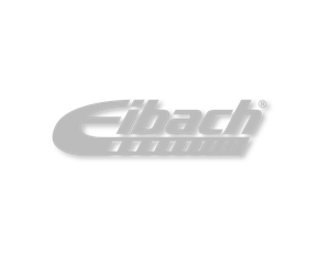 Eibach Diecut Decal Silver 2x7"