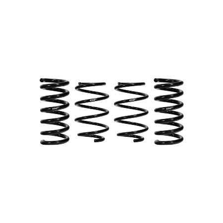 Pro-Kit Lowering Springs